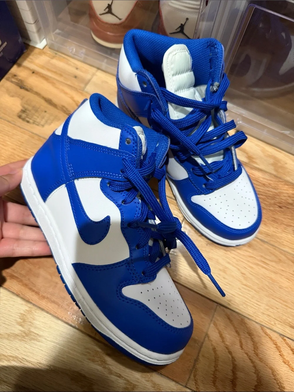 Nike Dunk High 